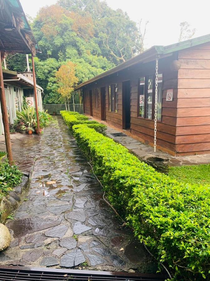 Hotel Quetzal Inn Monteverde Εξωτερικό φωτογραφία