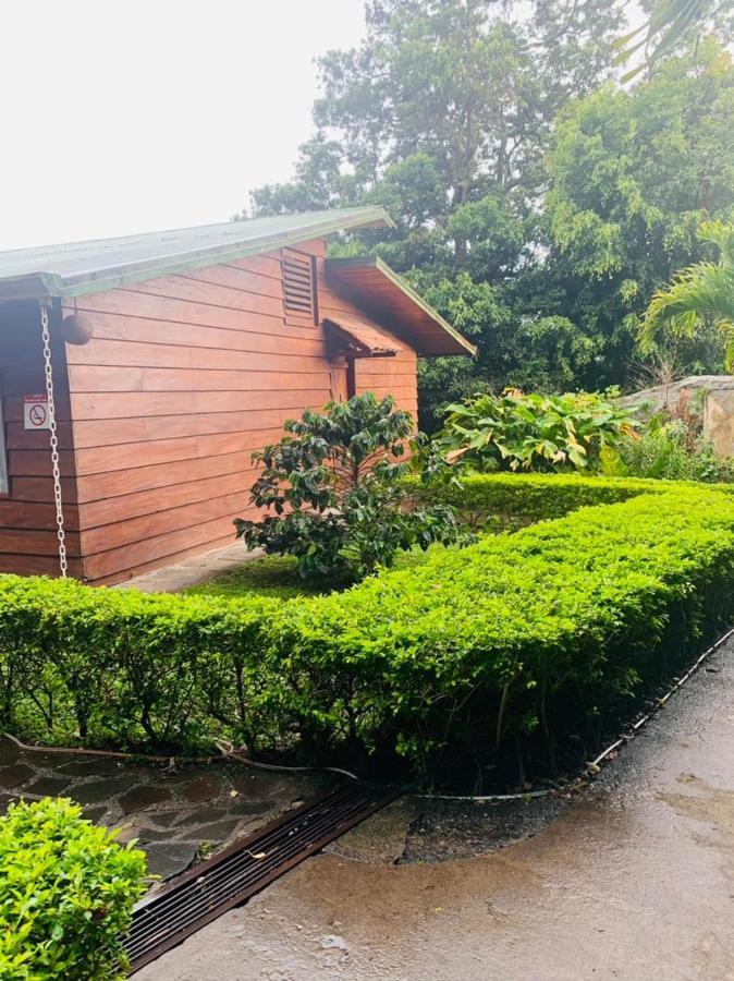 Hotel Quetzal Inn Monteverde Εξωτερικό φωτογραφία