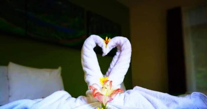 Hotel Quetzal Inn Monteverde Εξωτερικό φωτογραφία